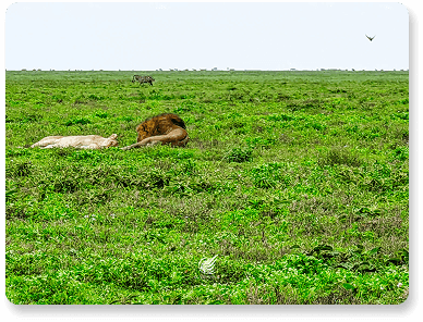 Tanzania